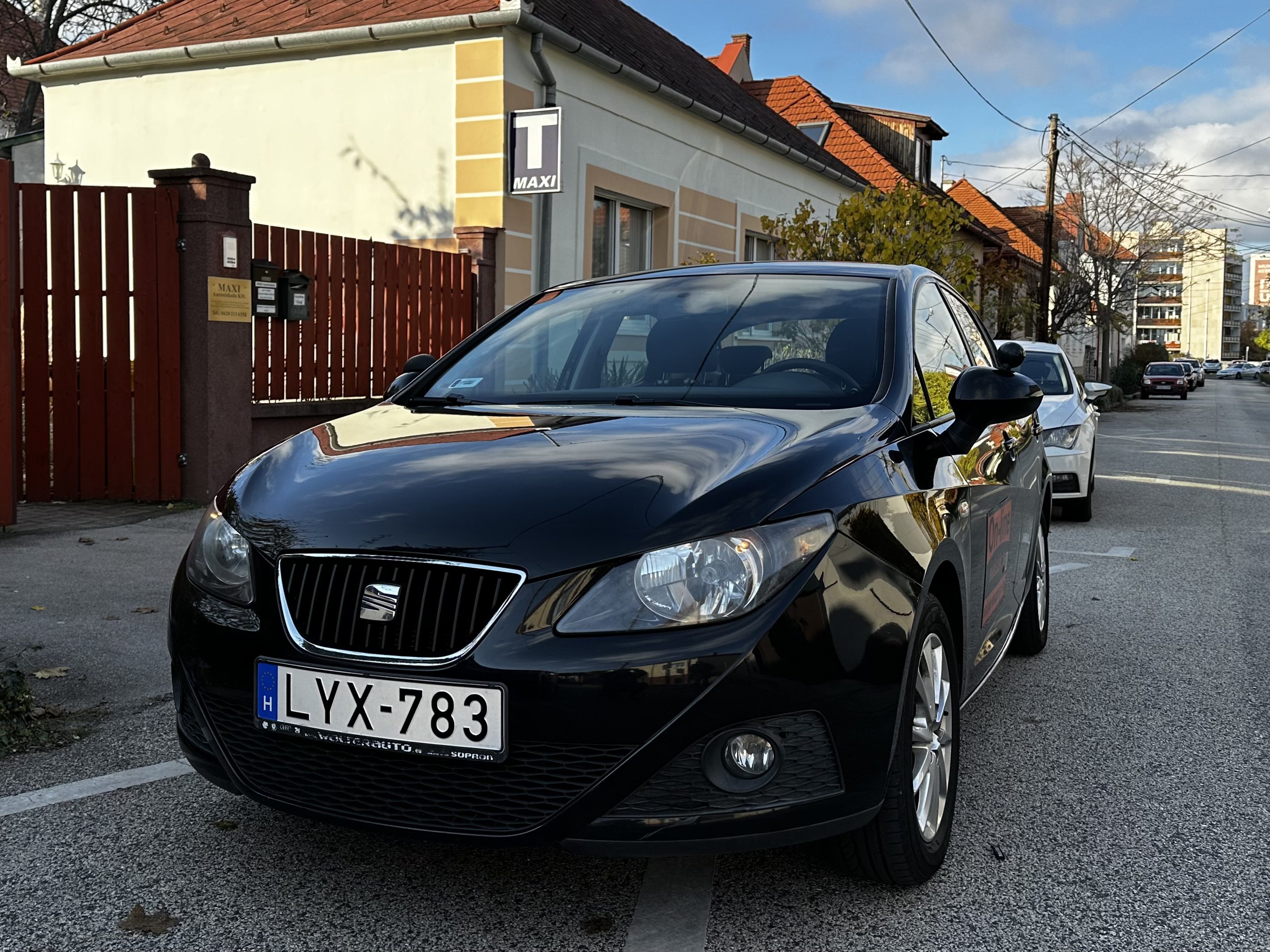 Seat Ibiza (benzines) Image